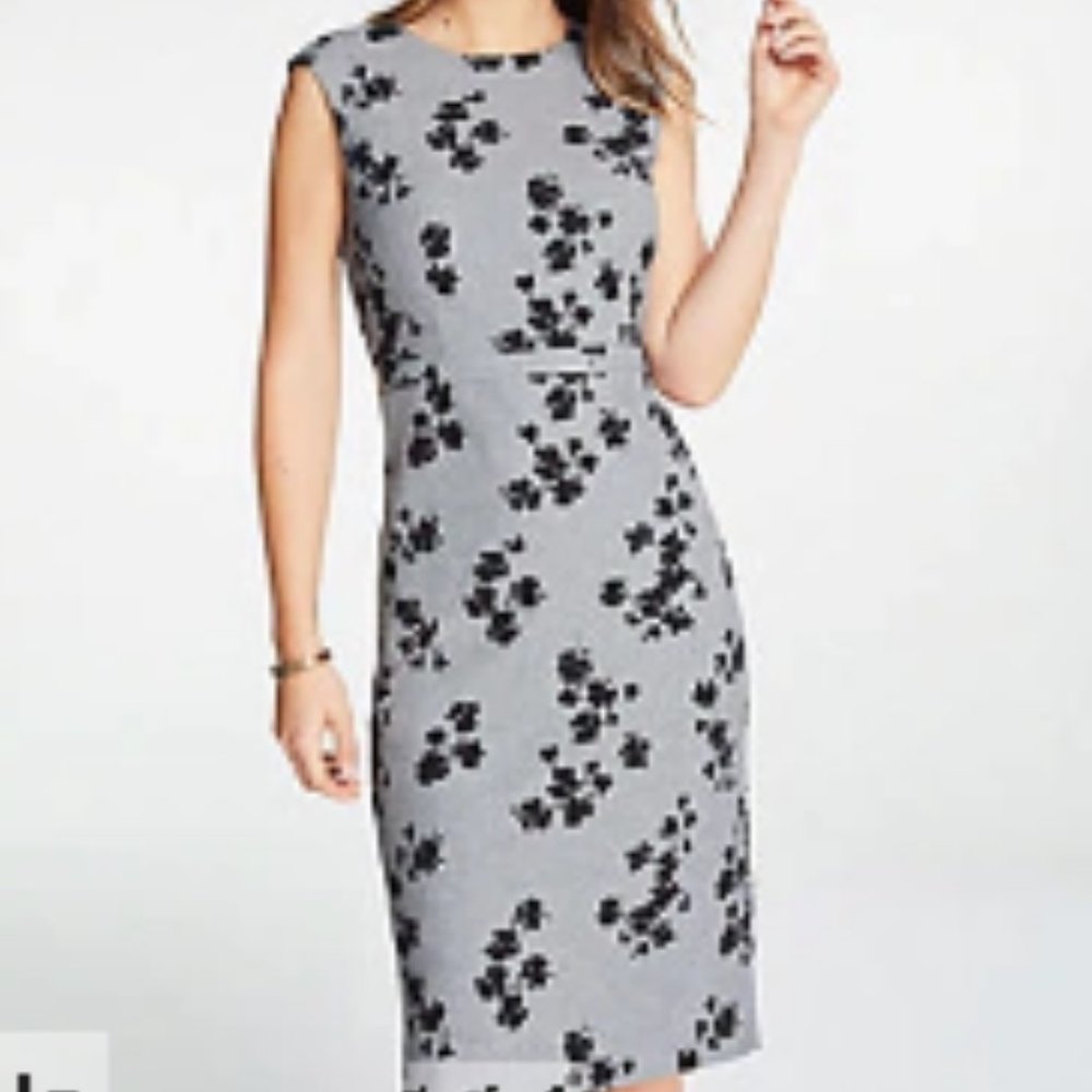 Ann Taylor Floral Cap Sleeve Sheath Dress In Grey Multi